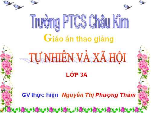 Bài 24. Một số hoạt động ở trường