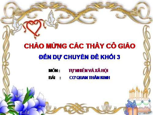 Bài 12. Cơ quan thần kinh