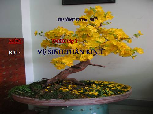 Bài 15. Vệ sinh thần kinh