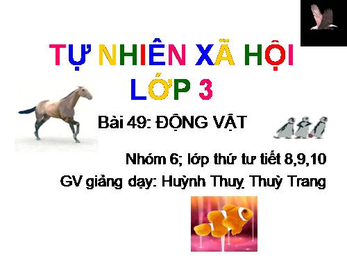 Bài 49. Động vật