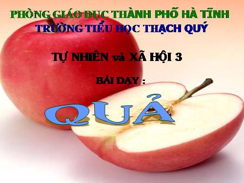 Bài 48. Quả