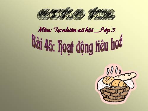 Hệ tiêu hóa