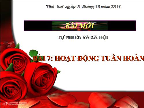 Bài 7. Hoạt động tuần hoàn