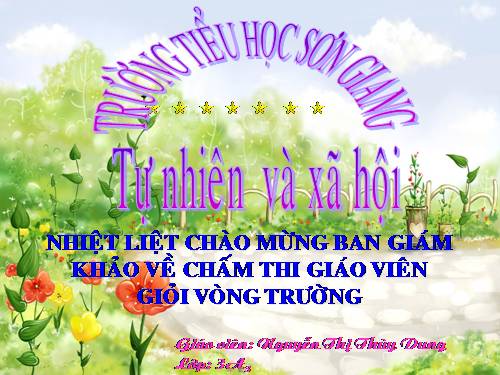 Bài 44. Rễ cây (tiếp theo)