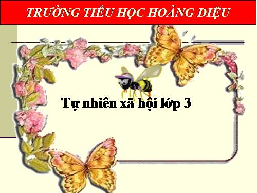 Bài 49. Động vật