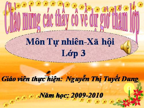 Bài 44. Rễ cây (tiếp theo)