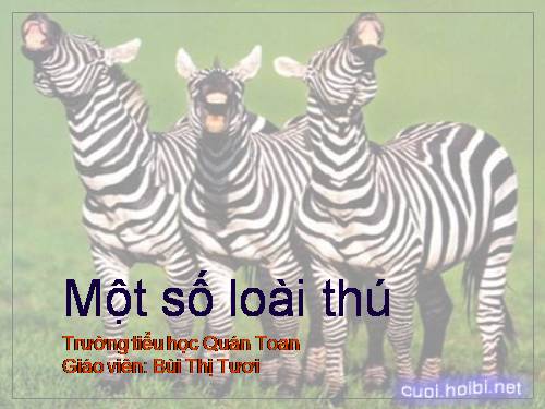 Thế giới tự nhiên quanh ta_Bài 11