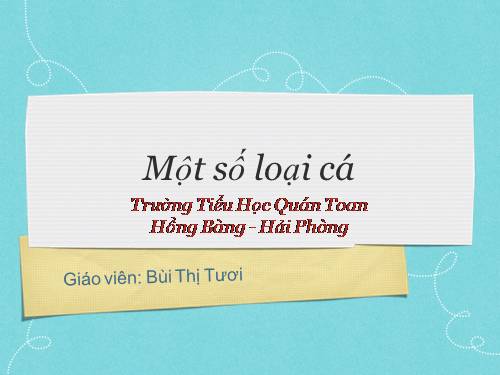 Thế giới tự nhiên quanh ta_Bài 9