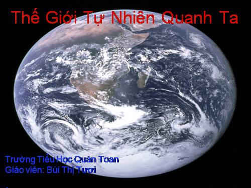 Thế giới tự nhiên quanh ta_Bài 1