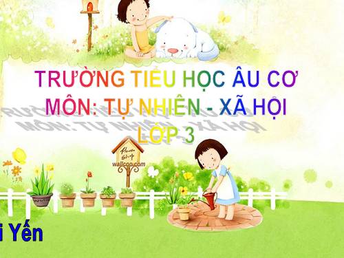 Bài 3. Vệ sinh hô hấp