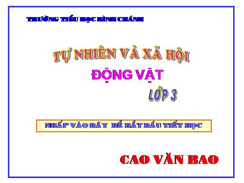 Bài 49. Động vật