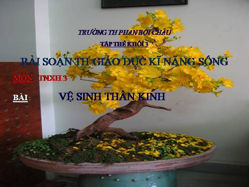 Bài 15. Vệ sinh thần kinh