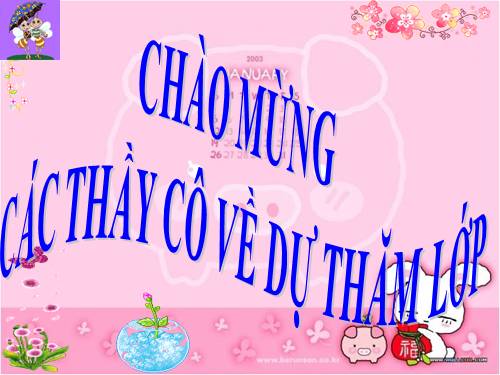 Bài 40. Thực vật