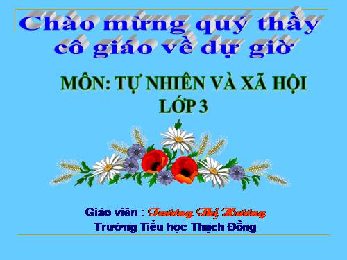 Bài 48. Quả