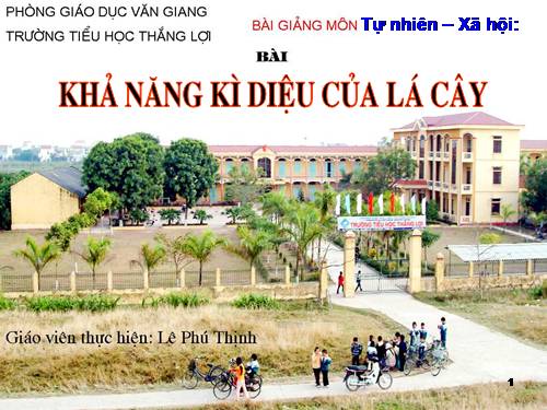 Bài 46. Khả năng kì diệu của lá cây