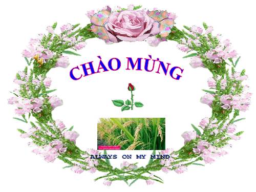 Bài 30. Hoạt động nông nghiệp