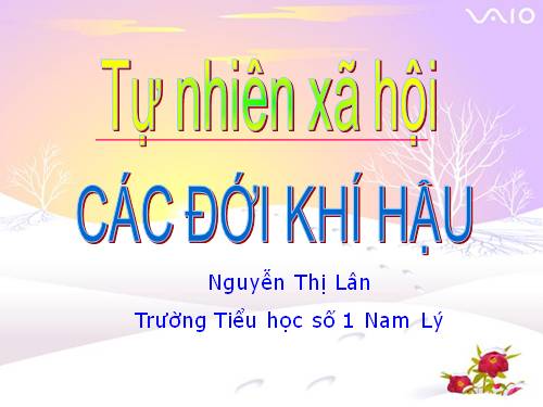 Bài 65. Các đới khí hậu