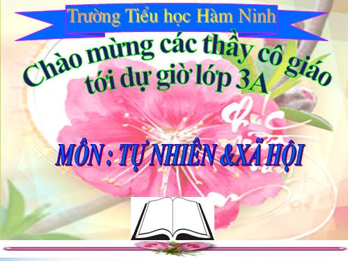 Bài 67. Bề mặt lục địa