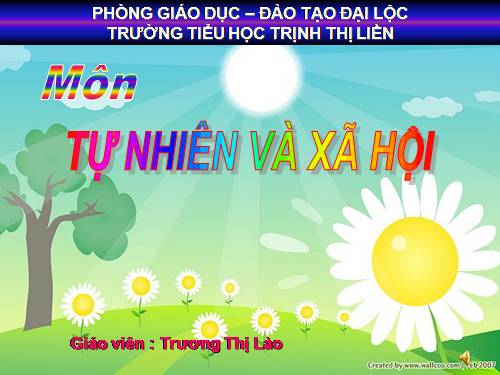 Bài 46. Khả năng kì diệu của lá cây