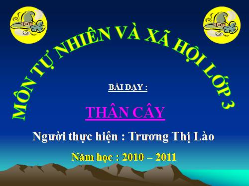 Bài 41. Thân cây