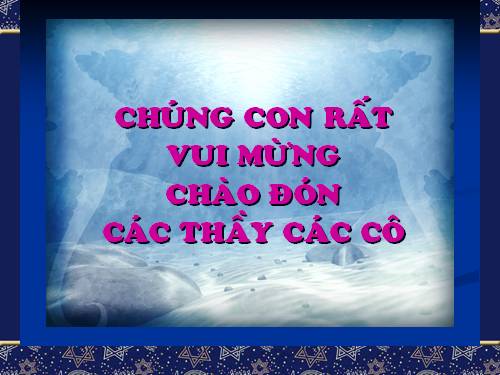 Bài 24. Một số hoạt động ở trường