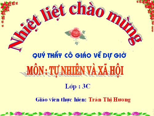 Bài 27-28. Tỉnh (thành phố) nơi bạn đang sống