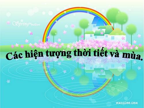 Bốn mùa và các hiện tượng tự nhiên