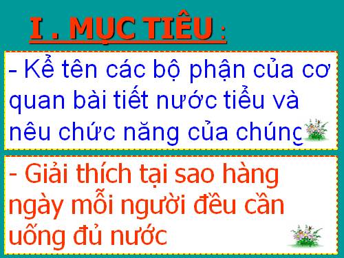 Bài 10. Hoạt động bài tiết nước tiểu