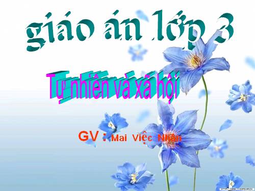 Bài 61. Trái Đất là một hành tinh trong hệ Mặt Trời