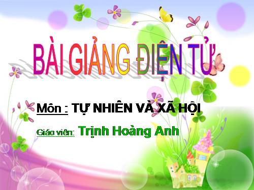 Bài 6. Máu và cơ quan tuần hoàn