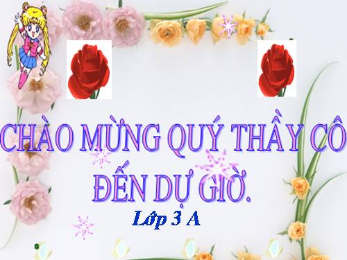 Bài 65. Các đới khí hậu