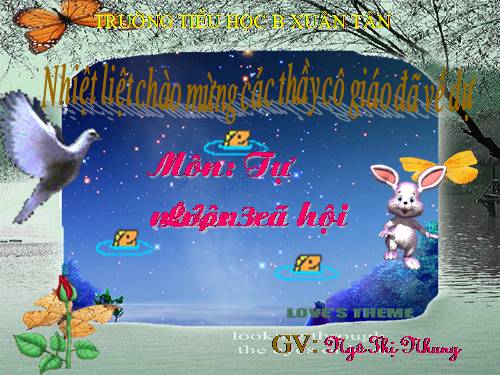Bài 33. An toàn khi đi xe đạp