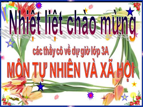 Bài 61. Trái Đất là một hành tinh trong hệ Mặt Trời