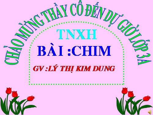 Bài 53. Chim