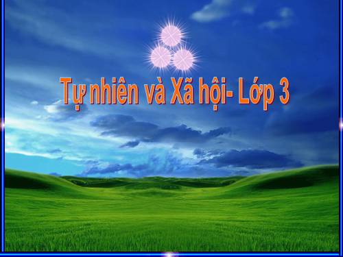 Bài 65. Các đới khí hậu