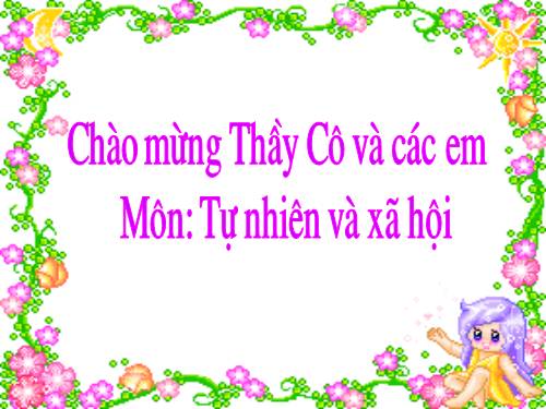 Bài 50. Côn trùng