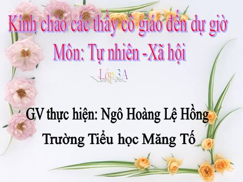 Bài 61. Trái Đất là một hành tinh trong hệ Mặt Trời