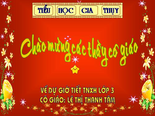 Bài 40. Thực vật