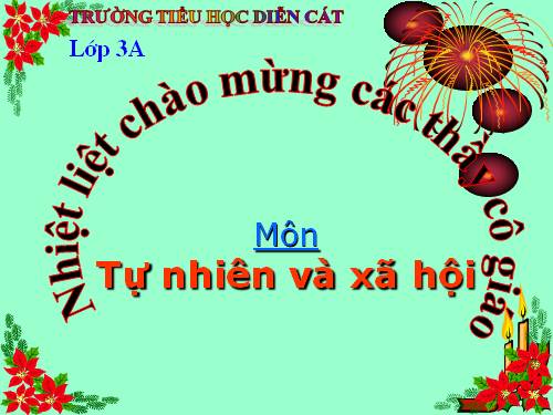 Bài 29. Các hoạt động thông tin liên lạc