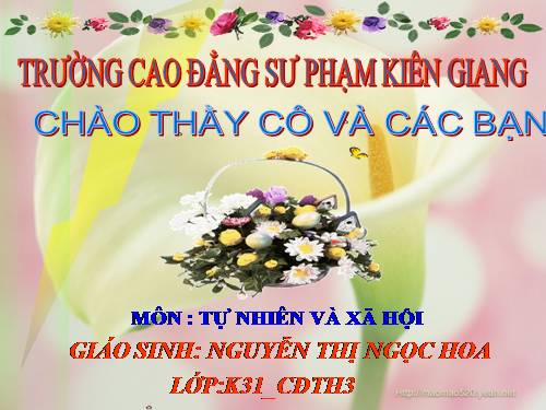 Bài 43. Rễ cây