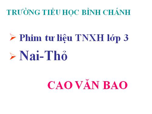 TNXH -Lớp 3 - Nai- thỏ