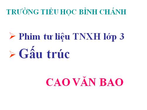 TNXH-Lớp 3-Gấu trúc