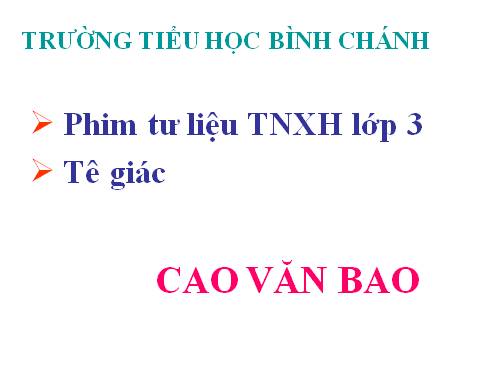 TNXH-Lớp 3 -Tê giác