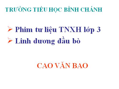 TNXH_lớp 3-Linh dương đầu bò