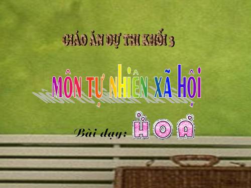 Bài 47. Hoa