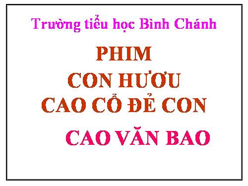 TNXH-LỚP 3-phim hươu cao cổ đẻ con