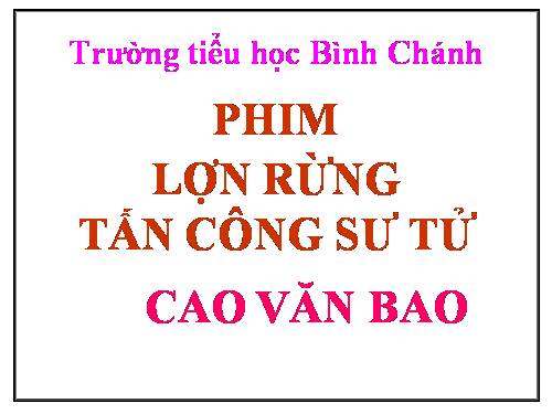 TNXH-LỚP 3-phim Lợn rừng tấn công sư tử