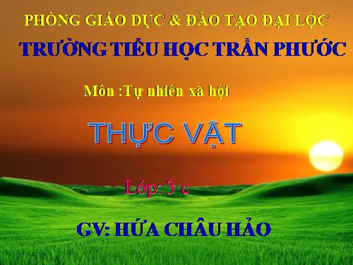 Bài 40. Thực vật