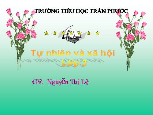 Bài 44. Rễ cây (tiếp theo)