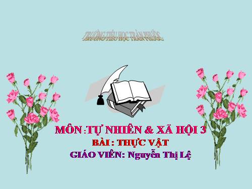 Bài 40. Thực vật